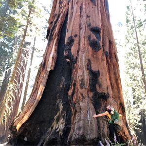 Meet your Posher, Molly